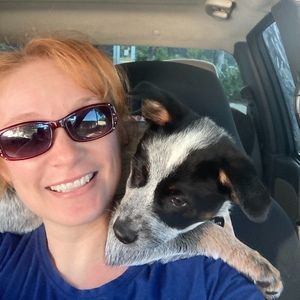 Meet your Posher, Posh